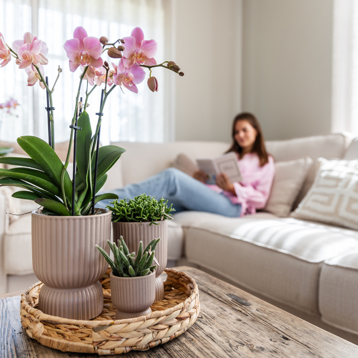 Dusty Pink Orchid Duo – Muted Elegance for Mindful Corners, Ø12 cm × ±45 cm