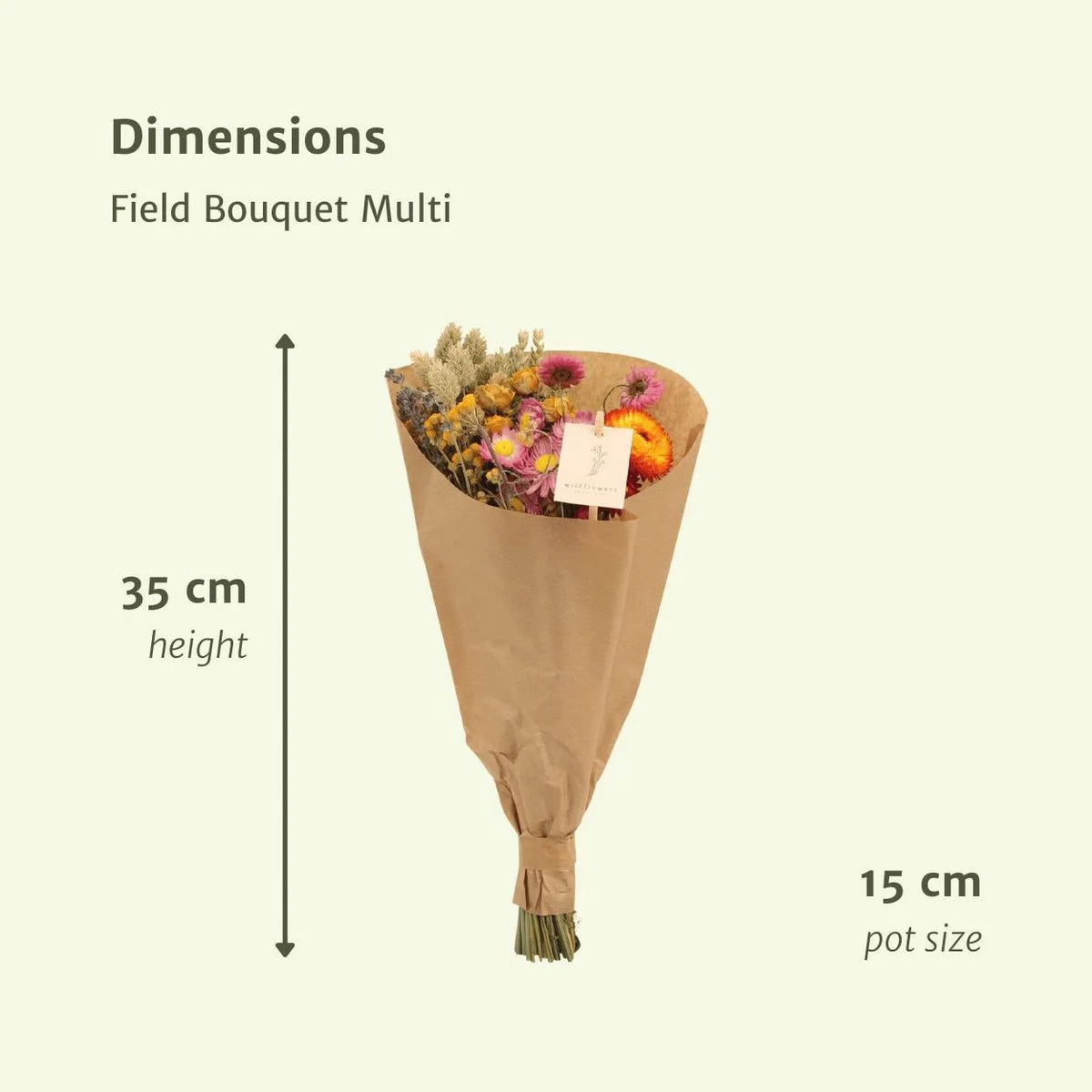 Bright Meadow Dried Bouquet – Everlasting Natural Charm, Ø15×35 cm