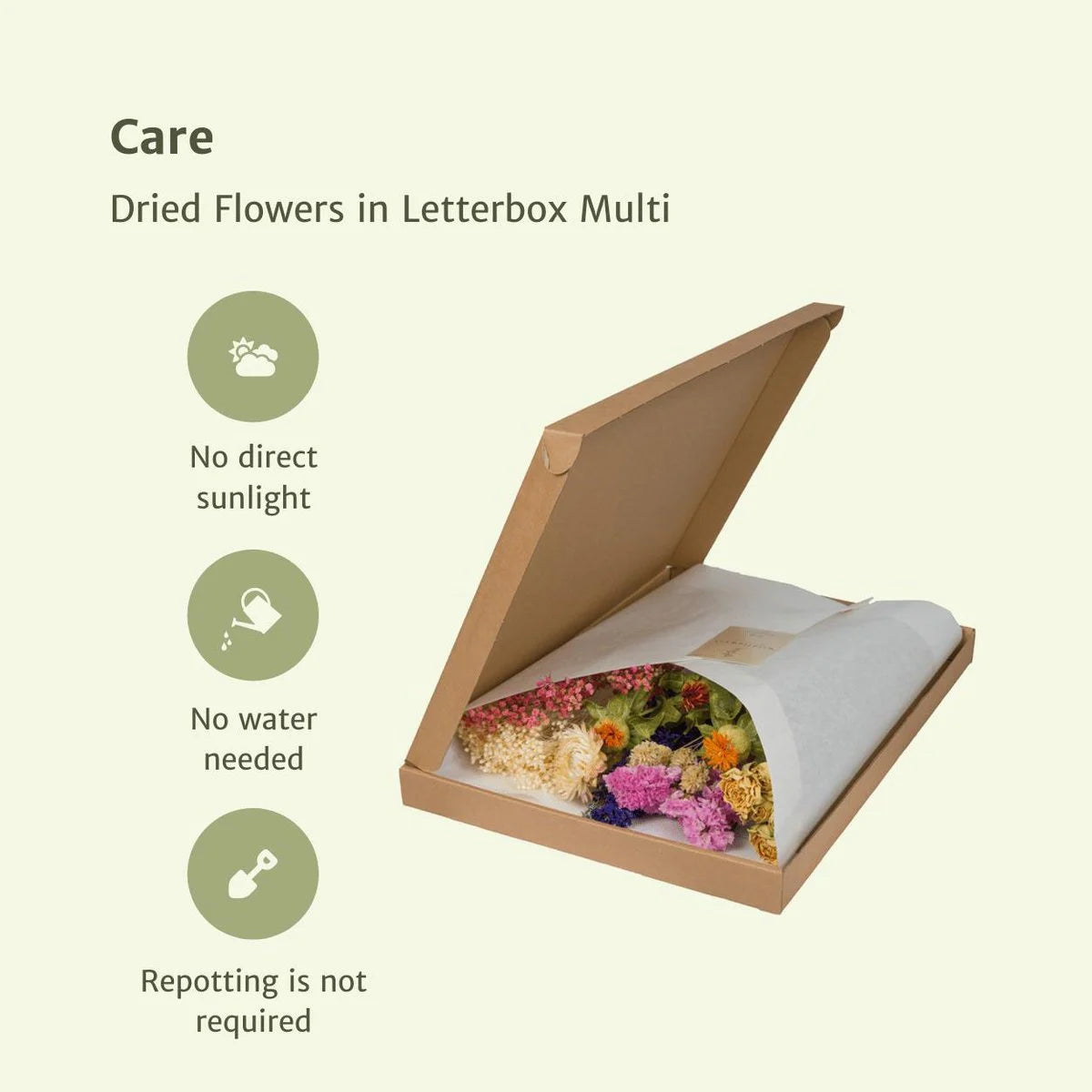 Morning Haze Letterbox Bouquet – Warmth in Stillness, 30 cm