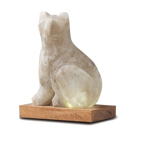 Feline Ritual Salt Lamp – Crystal Cat Light for Still Corners, 13 cm