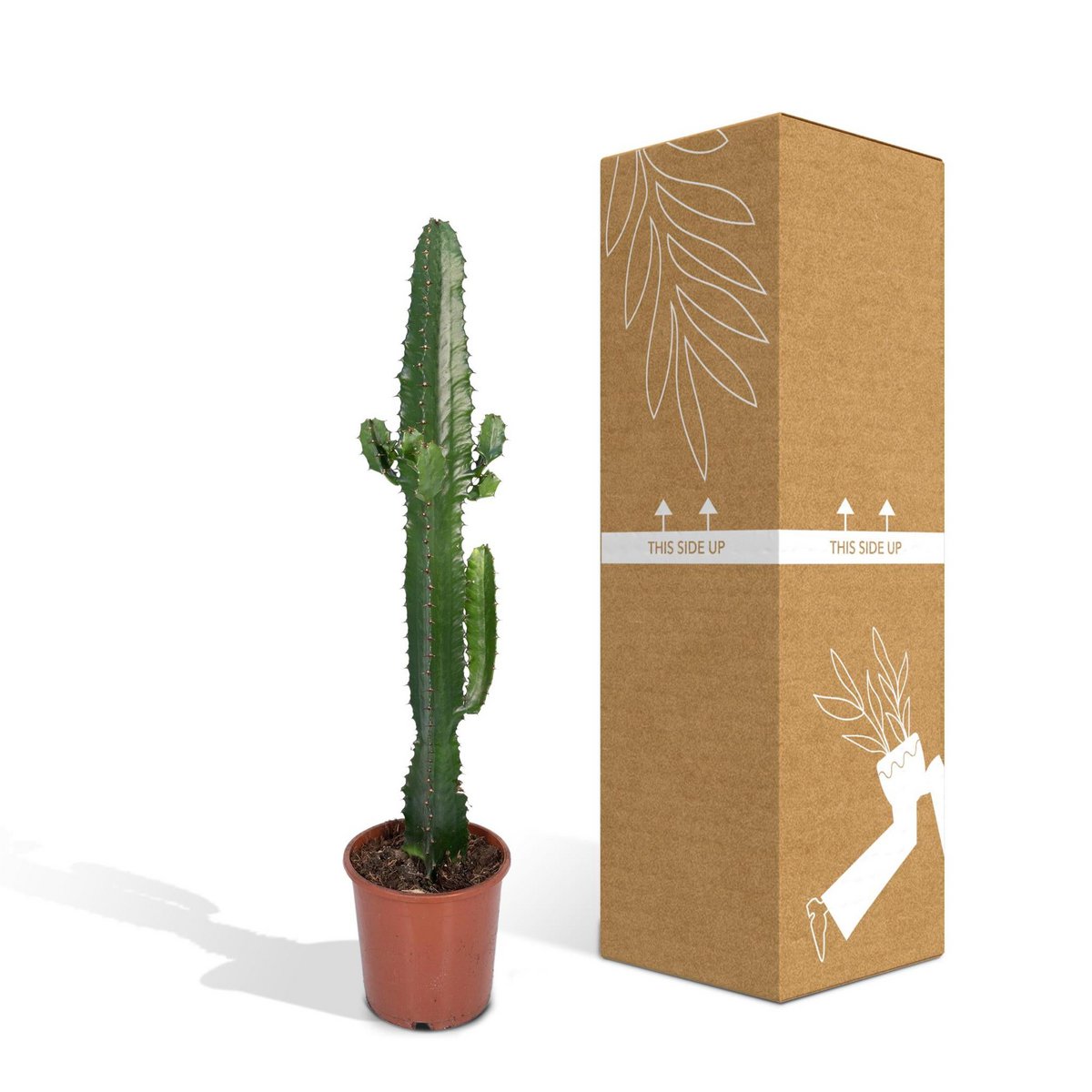 Desert Candle Cactus – Bold Shape for Serene Spaces, Ø17×50 cm