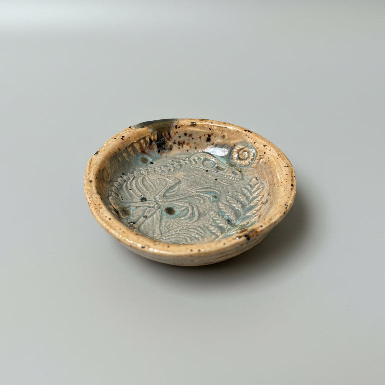 Fossil Field Ceramic Set – Excavated Impressions, various designs by Red Raven Pottery