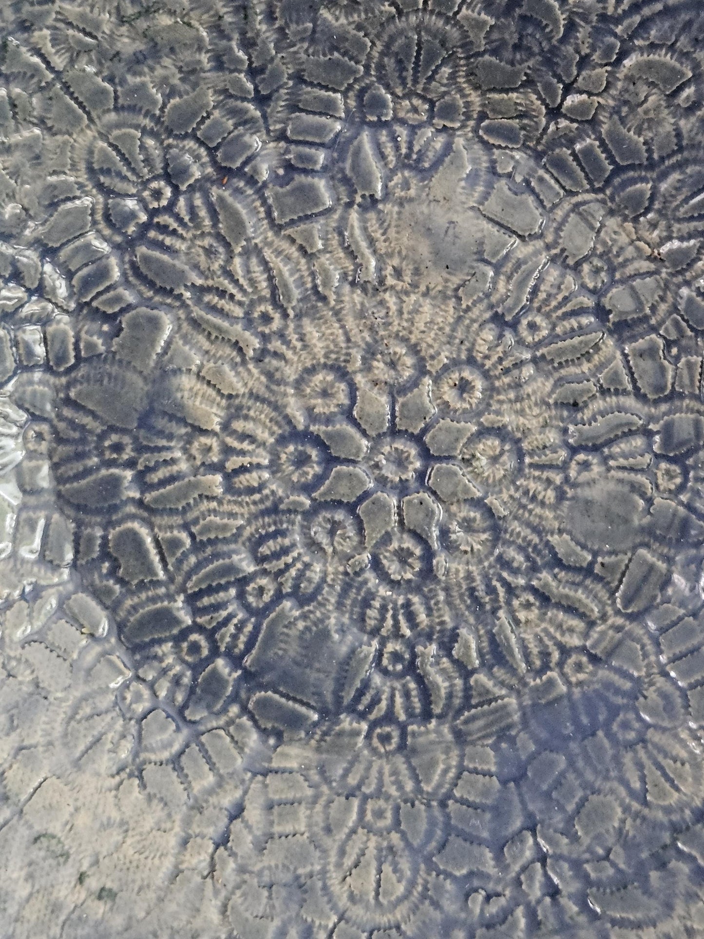 Blauwe reliëf schaal