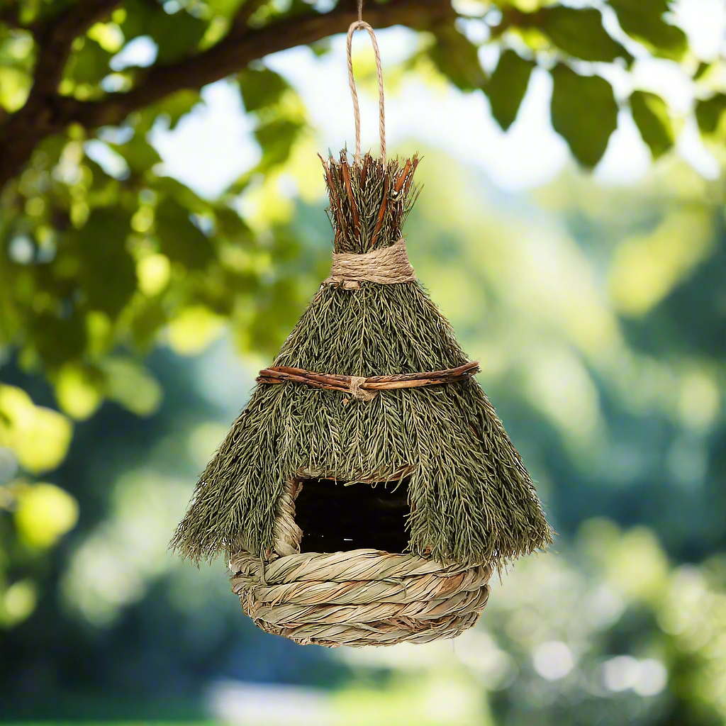 Forest Canopy Natural Birdhouse – Evergreen Retreat for Feathered Quiet, Ø11×22 cm
