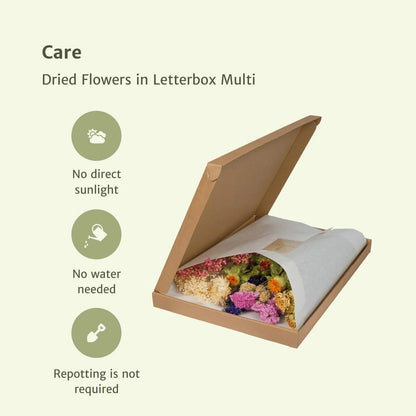 Morning Haze Letterbox Bouquet – Warmth in Stillness, 30 cm