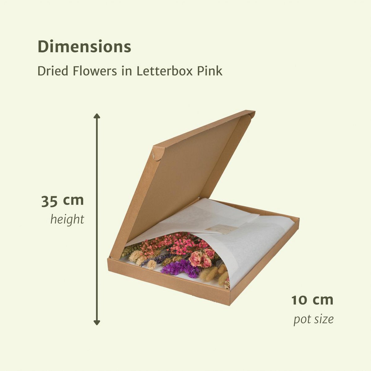 Dusky Dawn Dried Letterbox Bouquet– Thoughtful Touch in Bloom, 30 cm