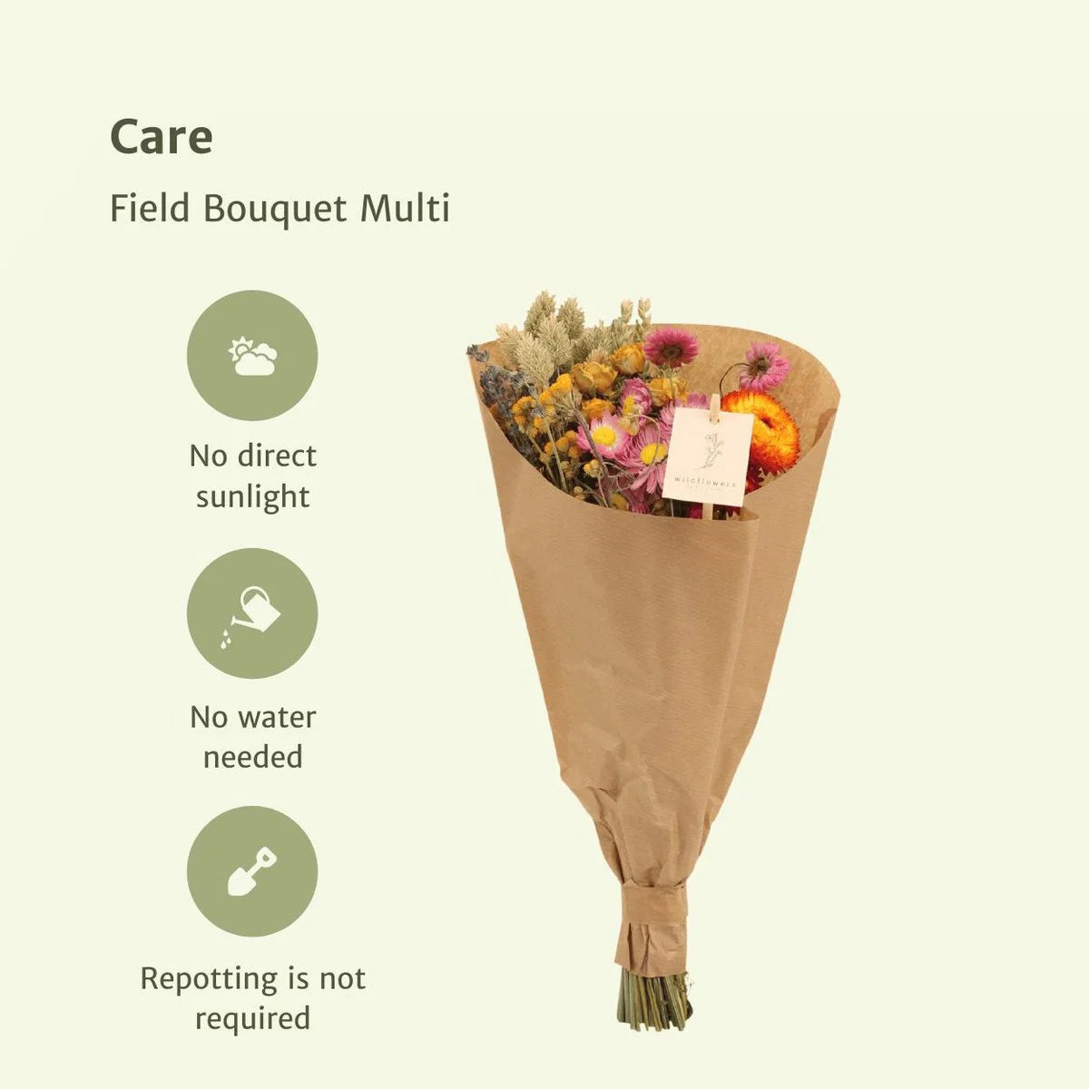Bright Meadow Dried Bouquet – Everlasting Natural Charm, Ø15×35 cm