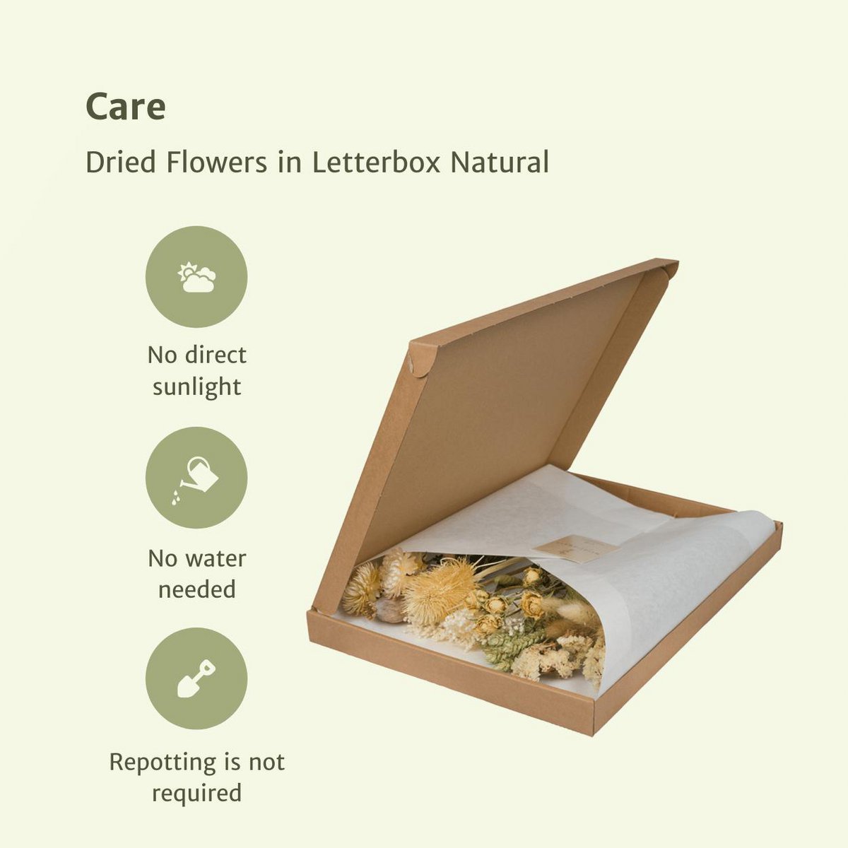 Natural Whisper Dried Letterbox Bouquet – Quiet Home Gesture, 30 cm