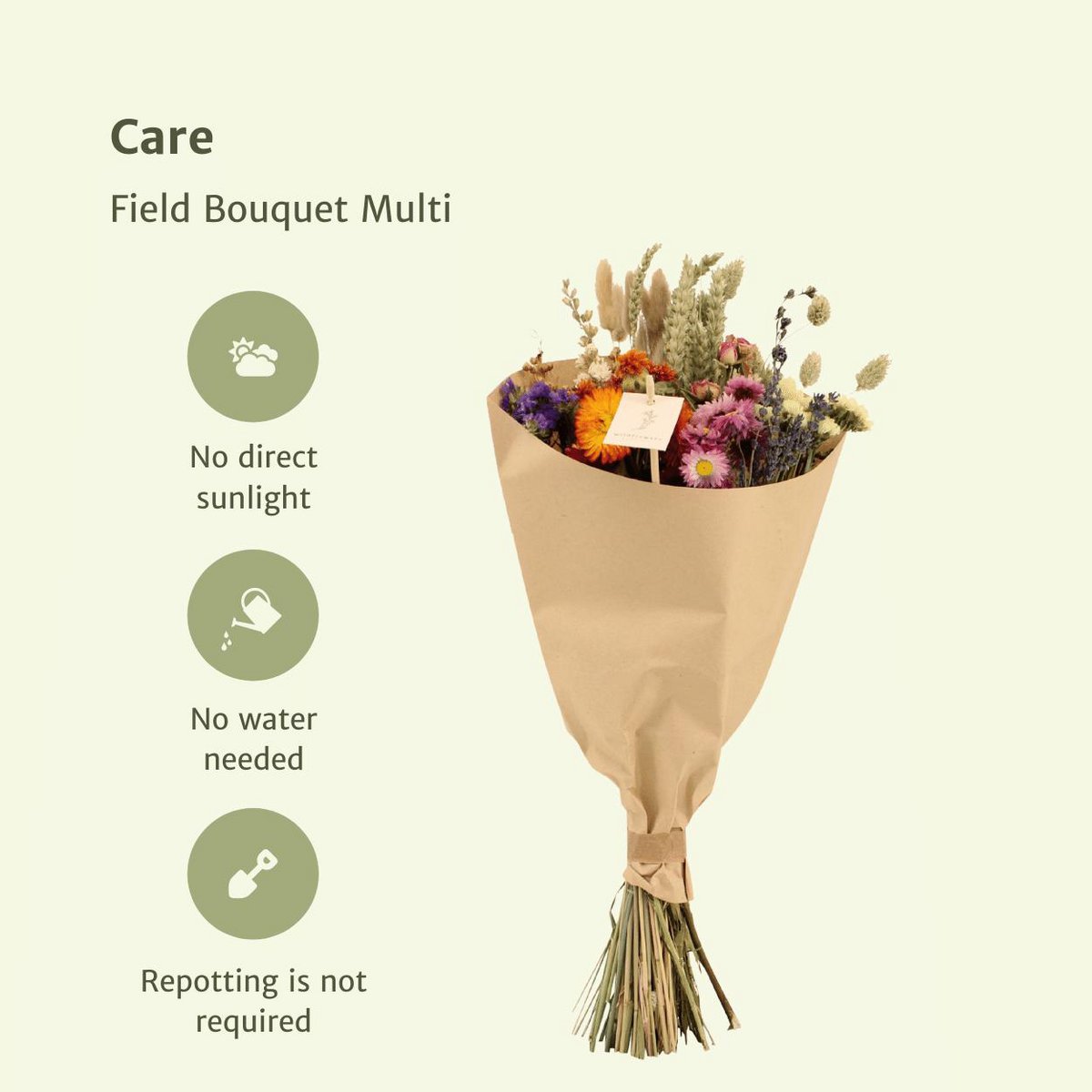 Twilight Meadow Dried Bouquet – For Grounded Celebration, Ø20×50 cm