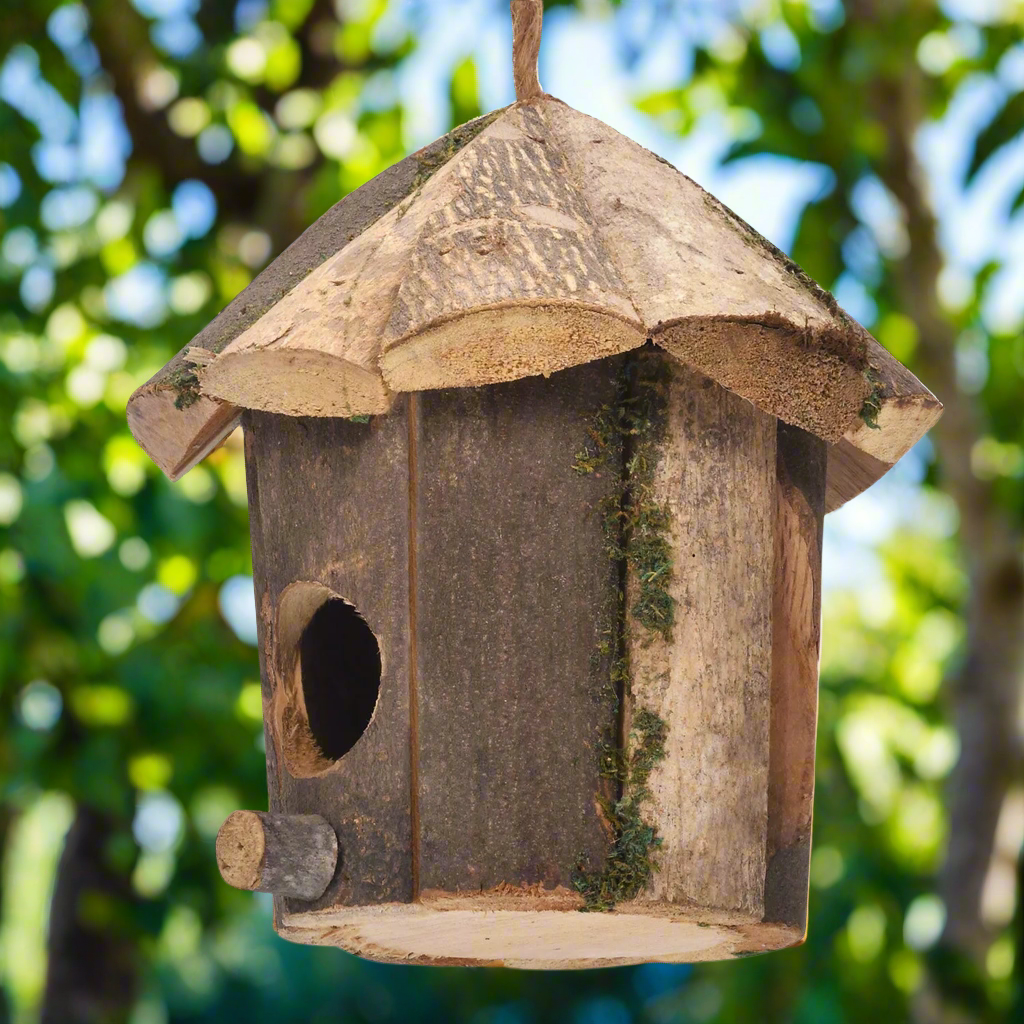 Woodland Pavilion Natural Birdhouse – Rustic Refuge Beneath Forest Roof, Ø16×16 cm