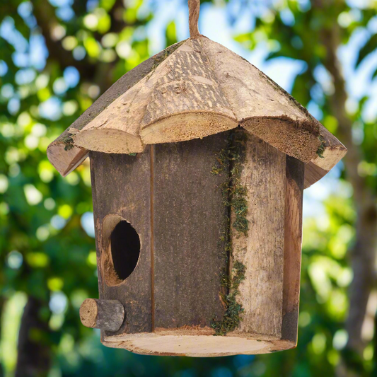Woodland Pavilion Natural Birdhouse – Rustic Refuge Beneath Forest Roof, Ø16×16 cm