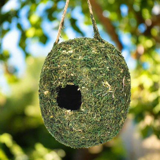 Moss Veil Natural Birdhouse – Woodland Camouflage for Tiny Guests, Ø12×14 cm