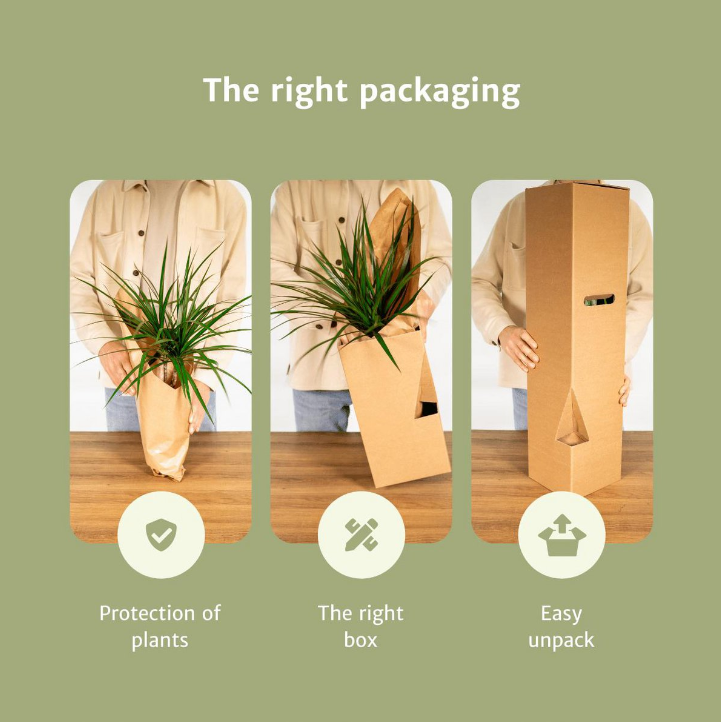 All our plants are packed with care