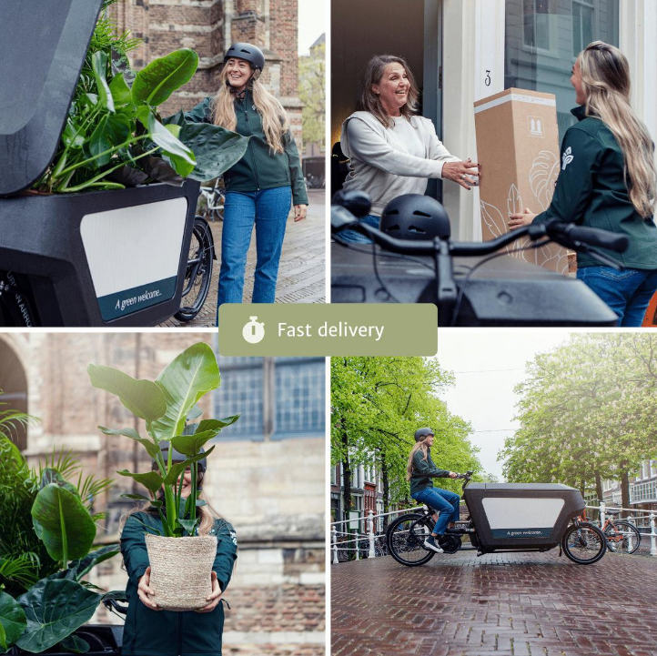 Fast plant delivery
