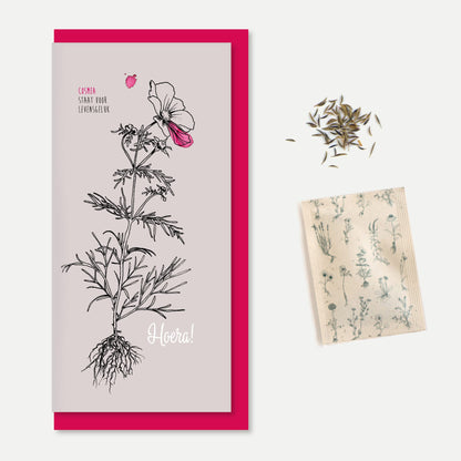 "Hoera!" Blooming Wishes Greeting Card with Cosmos Flower Seeds