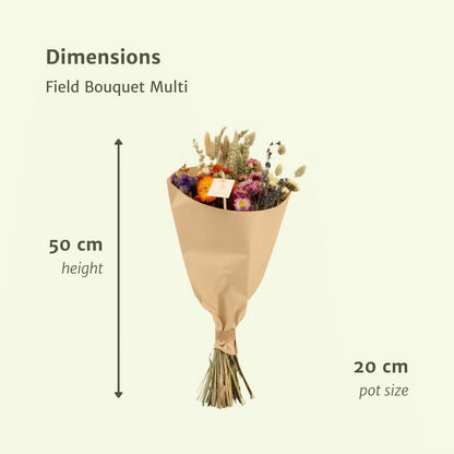 Twilight Meadow Dried Bouquet – For Grounded Celebration, Ø20×50 cm