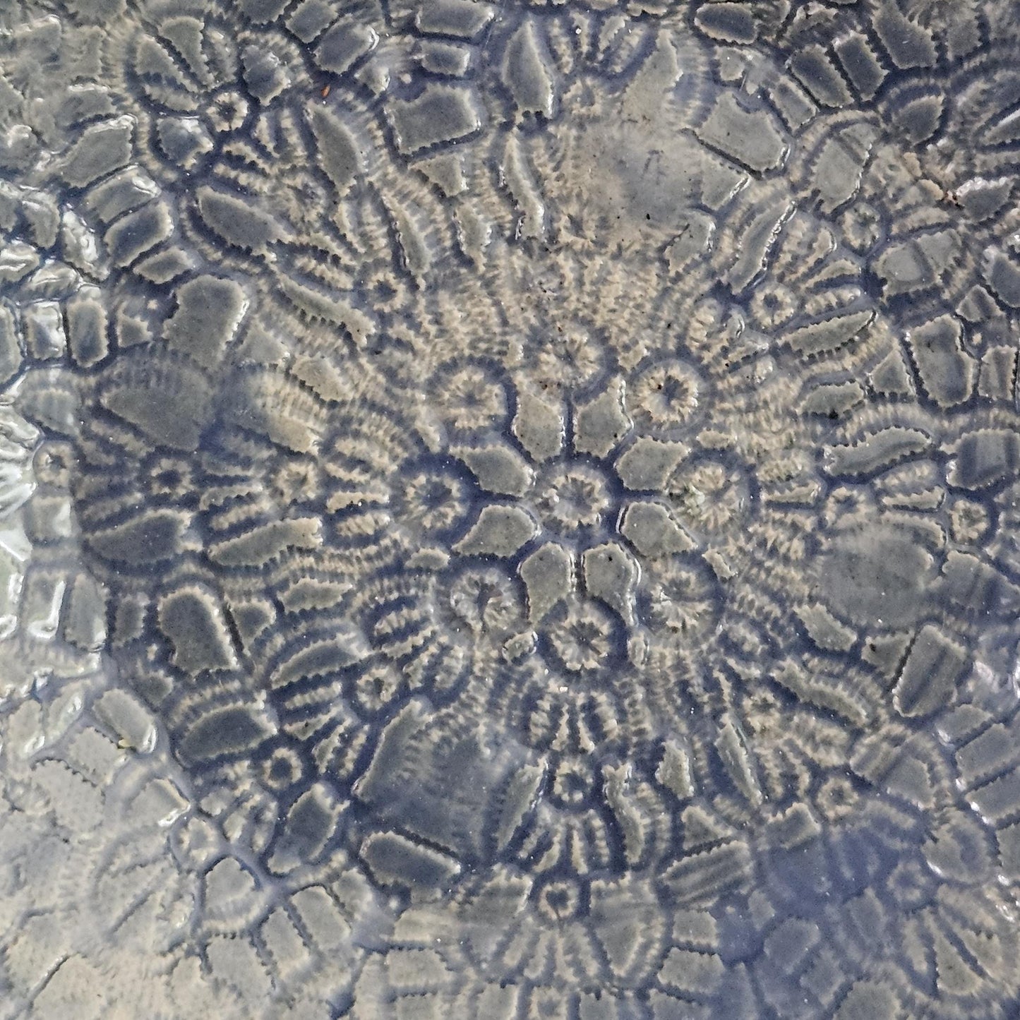 Blue Lace Ceramic Bowl – Textured Calm in Clay, Ø22×5 cm by Red Raven Pottery