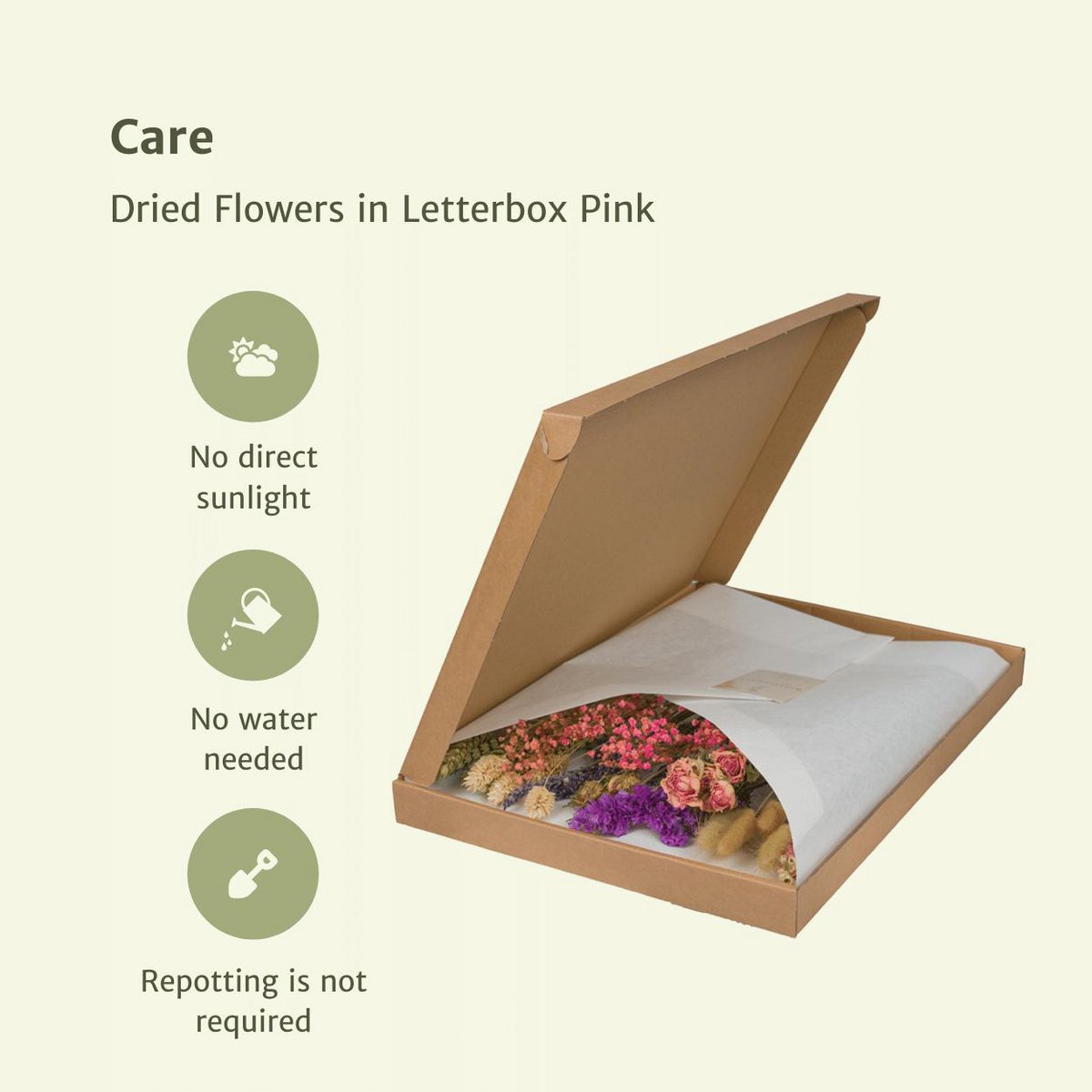 Dusky Dawn Dried Letterbox Bouquet– Thoughtful Touch in Bloom, 30 cm