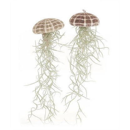 Large Jellyfish Airplant – Floating Ocean Spirit with Spanish Moss, Ø7–10 x 15 cm