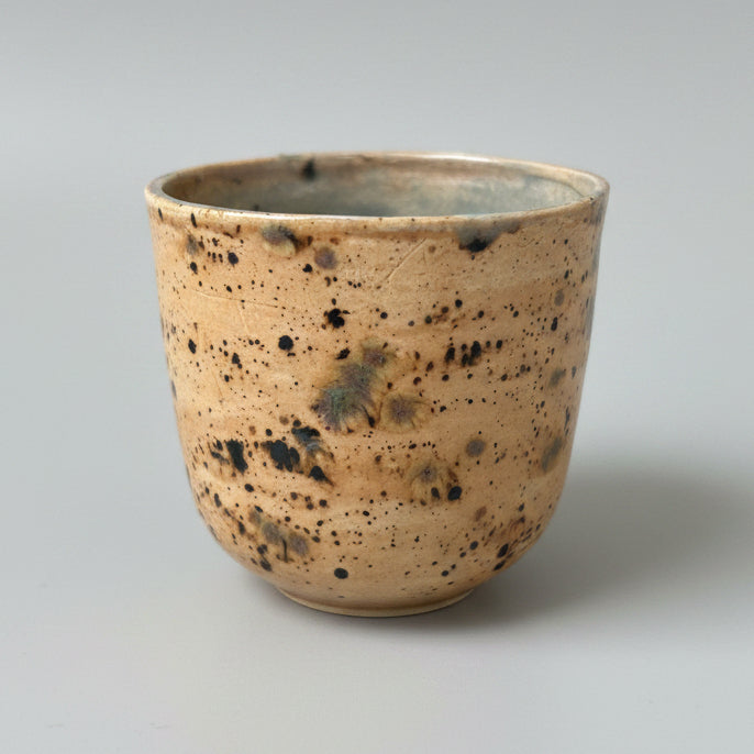 Fossil Field Ceramic Set – Excavated Impressions, various designs by Red Raven Pottery