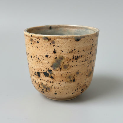 Fossil Field Ceramic Set – Excavated Impressions, various designs by Red Raven Pottery