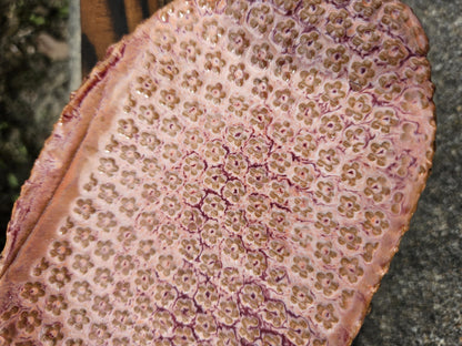 Sieradenschaaltje roze