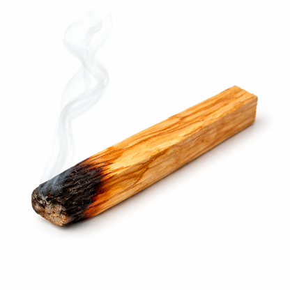 Natural Palo Santo Sticks – Sacred Wood for Gentle Reset, 10 cm (Set of 3)