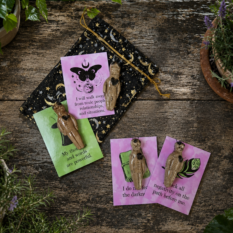 Poppet Ceramic Talisman – Affirmation Card Gift Set by Red Raven Pottery