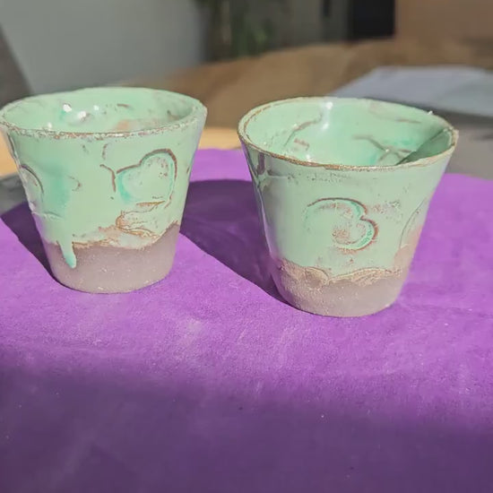 2 pieces mini planter jade