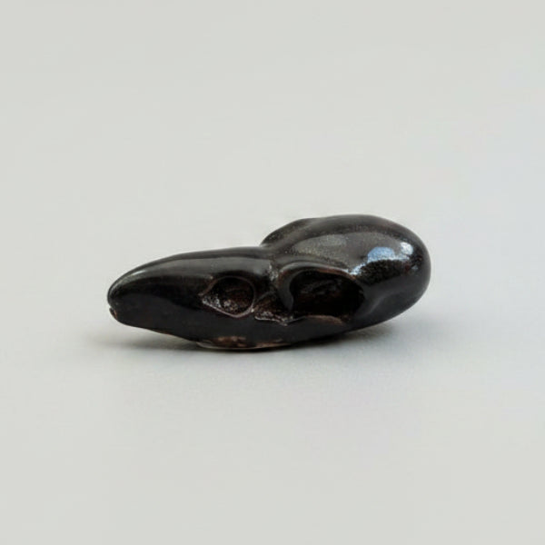 Raven Skull Pocket Talisman – Ceramic Relic of Dark Wisdom, 5×2×1.5 cm by Red Raven Pottery