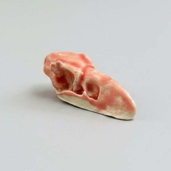 Raven Skull Pocket Talisman – Ceramic Relic of Dark Wisdom, 5×2×1.5 cm by Red Raven Pottery