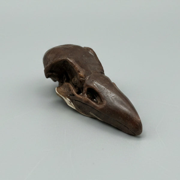 Raven Skull Pocket Charm – Ceramic Relic of Dark Wisdom, 5×2×1.5 cm by Red Raven Pottery