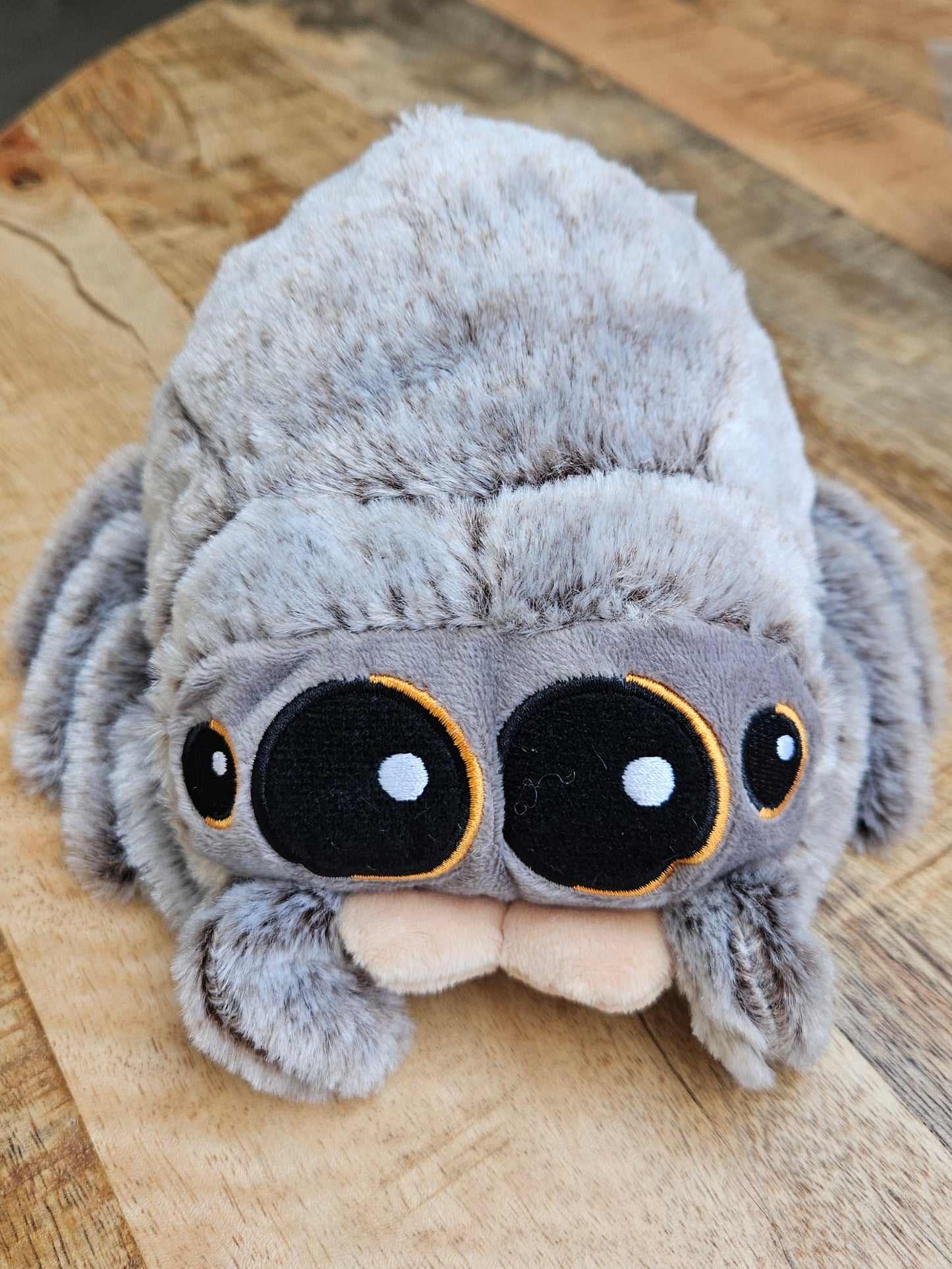 Lucas the Jumping Spider - 18cm Grey Plush Stuffed Animal