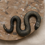 Serpent's Watch Plaster Wall Hanging - Guardian Studio Cast Ornament, 19x 11 x 2.5cm